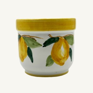 Vasetto Paolino disegnato a mano